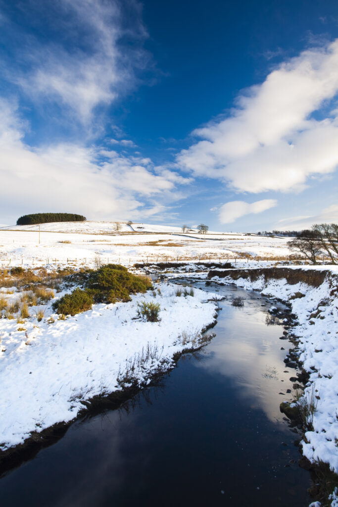 England, Northumberland, Northumberland National Park. Typical Northumberland scenery near the village of Otterburn, transformed after a winter snowfall.