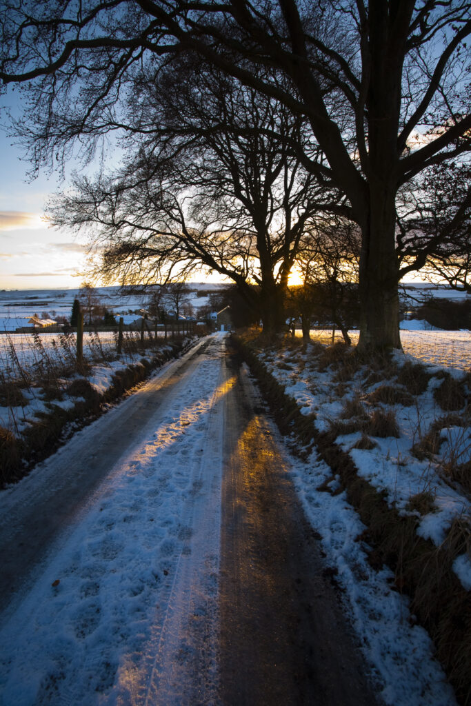 England, Northumberland, Northumberland National Park. Typical Northumberland scenery near the village of Otterburn, transformed after a winter snowfall.