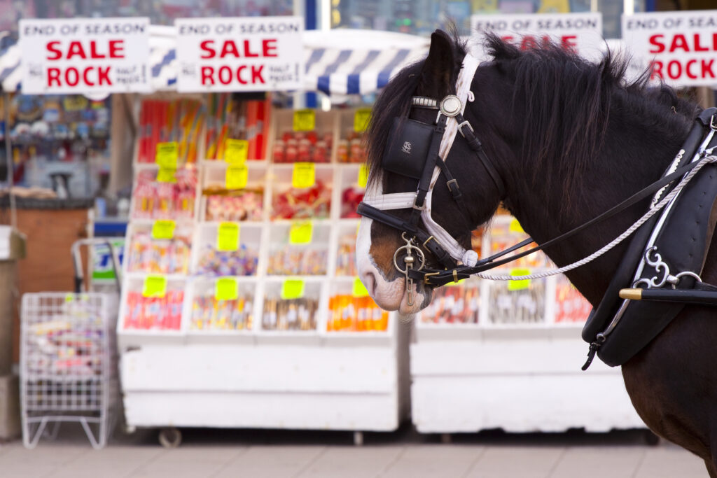 England, Lancashire, Blackpool. Horse in front of a stall selling seaside rock on the Blackpool Golden Mile.