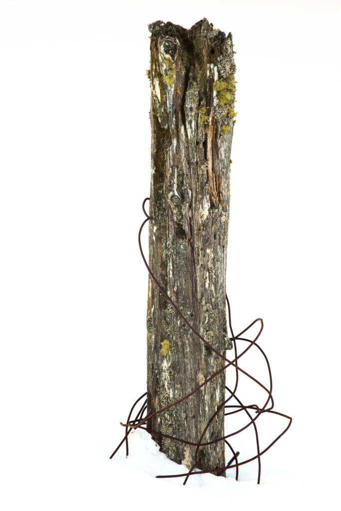 Scotland, Scottish Highlands, Cairngorms National Park. Wire around a snow covered fence post near Grantown on Spey.