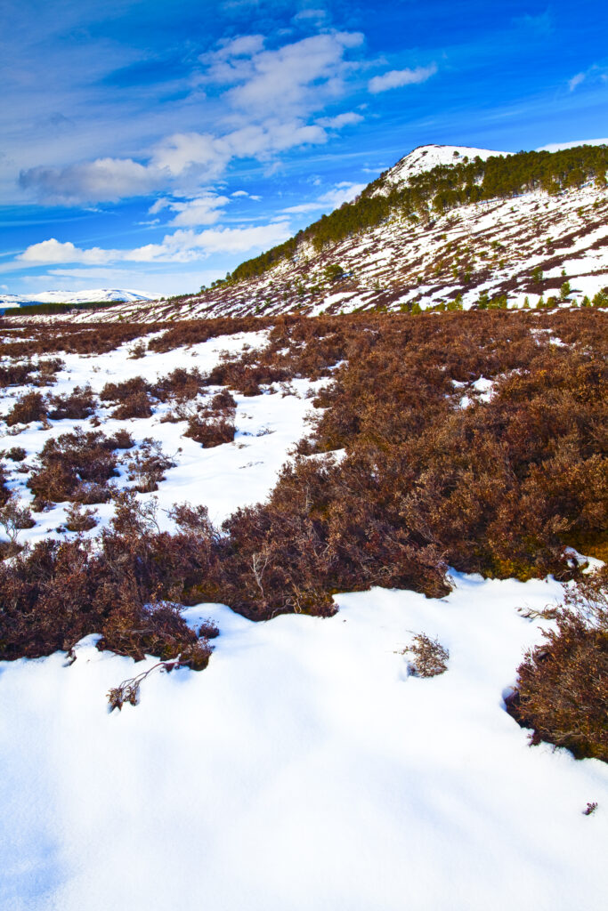 Scotland, Scottish Highlands, Cairngorms National Park. Snow covered hills in the remote Glen Feshie, part of the Cairngorms National Park.
