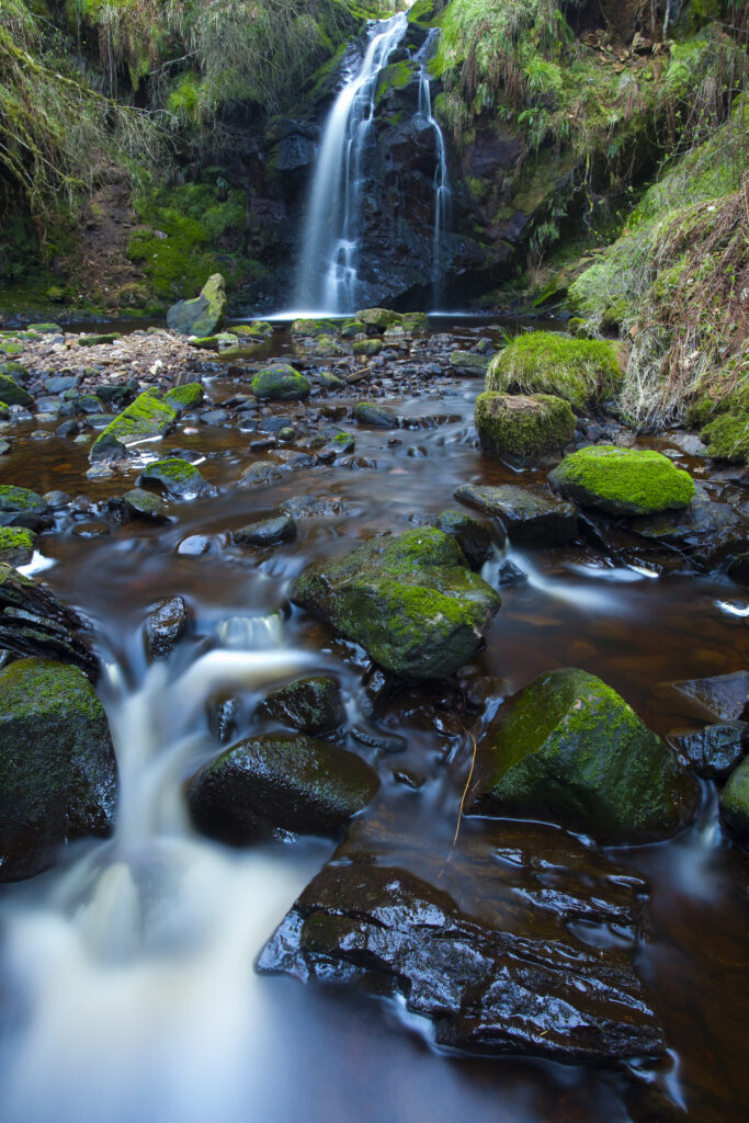 England, Northumberland, Hindhope Linn. Hindhope Linn, a cascade along the Blakehope Burn in the Kielder Forest Park near Blakehopeburnhaugh. Hindhope Linn is located near Bryness Vilage within the Northumberland National Park.