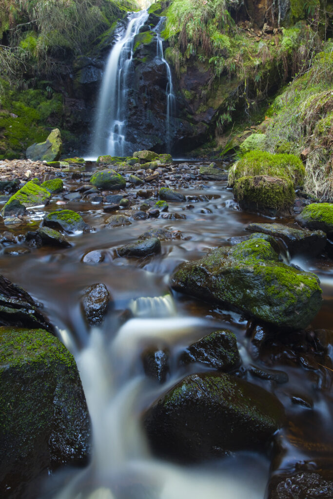 England, Northumberland, Hindhope Linn. Hindhope Linn, a cascade along the Blakehope Burn in the Kielder Forest Park near Blakehopeburnhaugh. Hindhope Linn is located near Bryness Vilage within the Northumberland National Park.