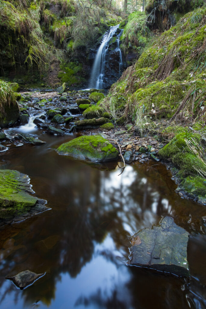 England, Northumberland, Hindhope Linn. Hindhope Linn, a cascade along the Blakehope Burn in the Kielder Forest Park near Blakehopeburnhaugh. Hindhope Linn is located near Bryness Vilage within the Northumberland National Park.