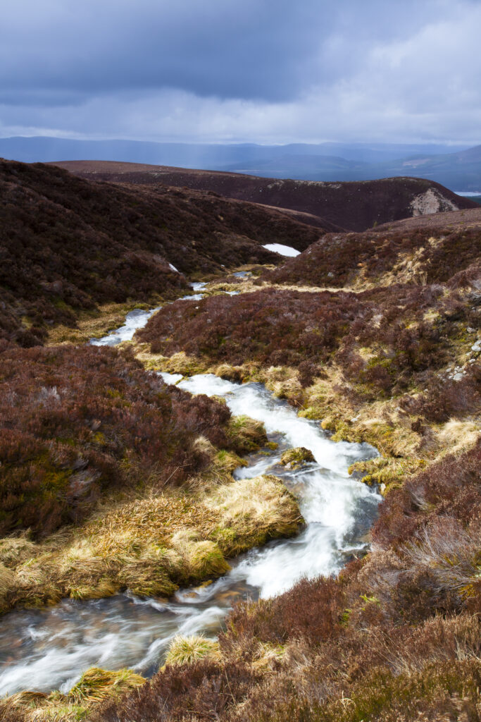 Scotland, Scottish Highlands, Cairngorms National Park. A brief shaft of light illuminates a burn flowing near the Cairngorm Mountain Resort.