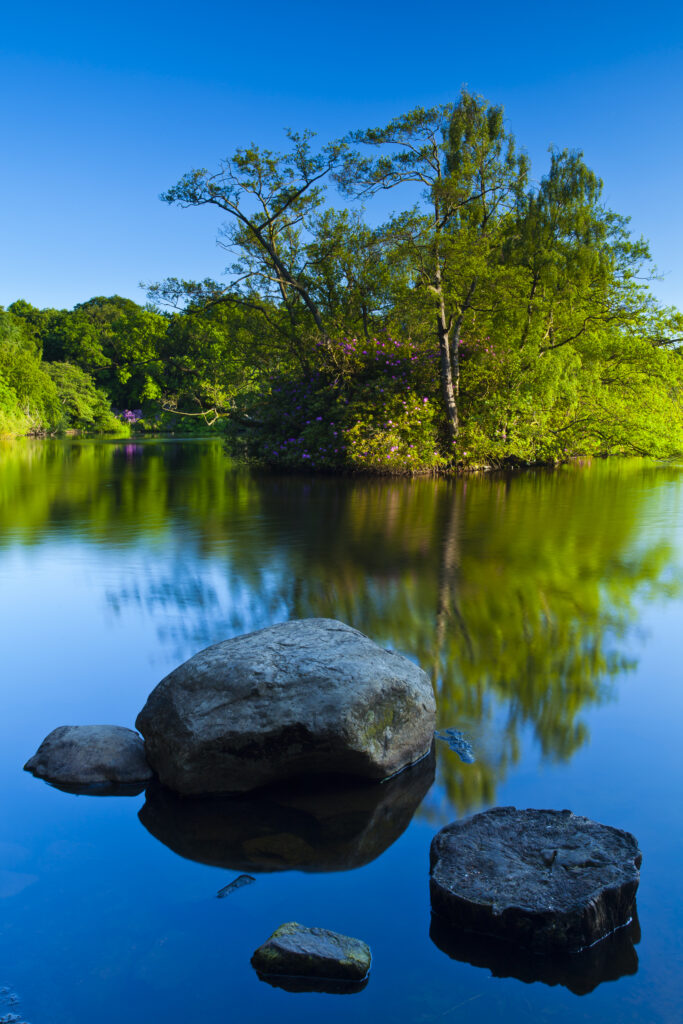 England, Northumberland, Bolam Lake Country Park. Stepping stones at Bolam Lake Country Park in Northumberland.