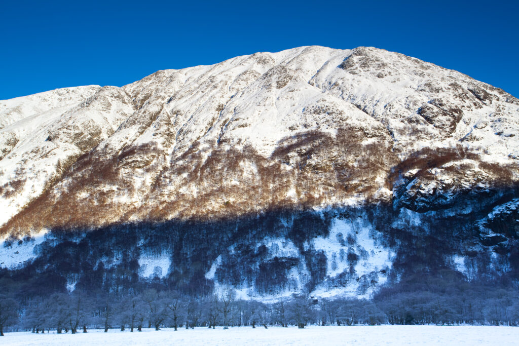 Scotland, Scottish Highlands, Glen Nevis. Trees under the shadow of Carn Dearg, part of the lower slopes of the highest mountain in Scotland and the UK - Ben Nevis.