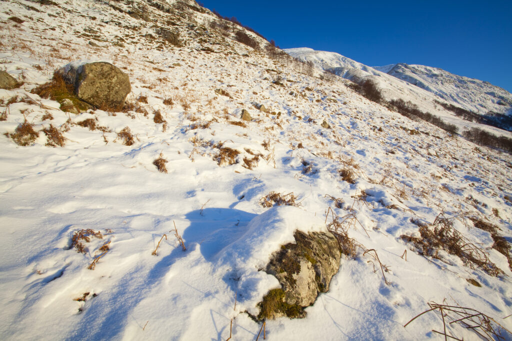 Scotland, Scottish Highlands, Glen Nevis. The snow covered Glen Nevis, looking towards Carn Dearg on the lower slopes of the highest mountain to be found in Scotland and the UK - Ben Nevis.