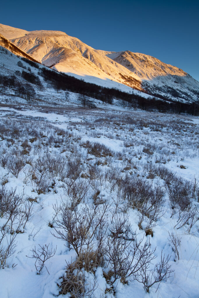 Scotland, Scottish Highlands, Glen Nevis. The snow covered Glen Nevis, looking towards Carn Dearg on the lower slopes of the highest mountain to be found in Scotland and the UK - Ben Nevis.