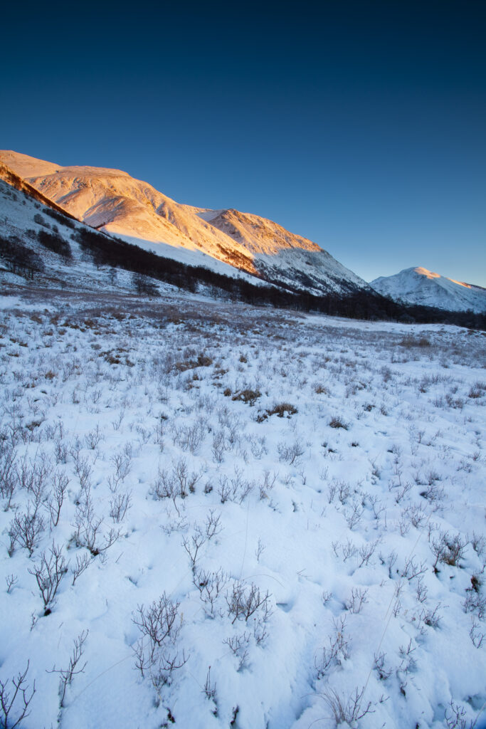 Scotland, Scottish Highlands, Glen Nevis. The snow covered Glen Nevis, looking towards Carn Dearg on the lower slopes of the highest mountain to be found in Scotland and the UK - Ben Nevis.