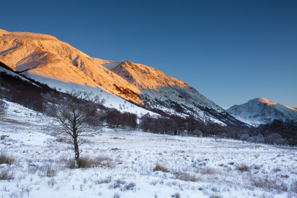 Scotland, Scottish Highlands, Glen Nevis. The snow covered Glen Nevis, looking towards Carn Dearg on the lower slopes of the highest mountain to be found in Scotland and the UK - Ben Nevis.