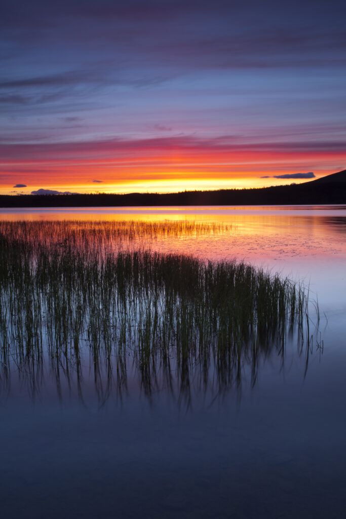 Scotland, Scottish Highlands, Cairngorms National Park. Summer sunset over Loch Morlich near Aviemore.