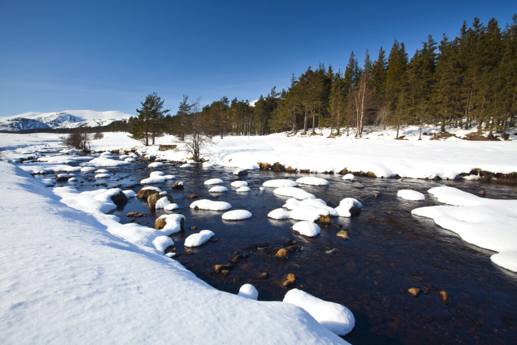 Scotland, Scottish Highlands, Cairngorms National Park. The snow covered River Muick running near a forest plantation in Glen Muick near Ballater.