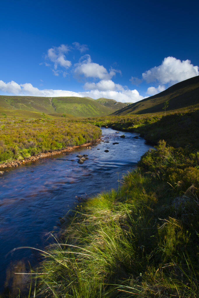 Scotland, Scottish Highlands, Cairngorms National Park. Mountain burn flowing through the wild landscape to be found near Strath Nethy.