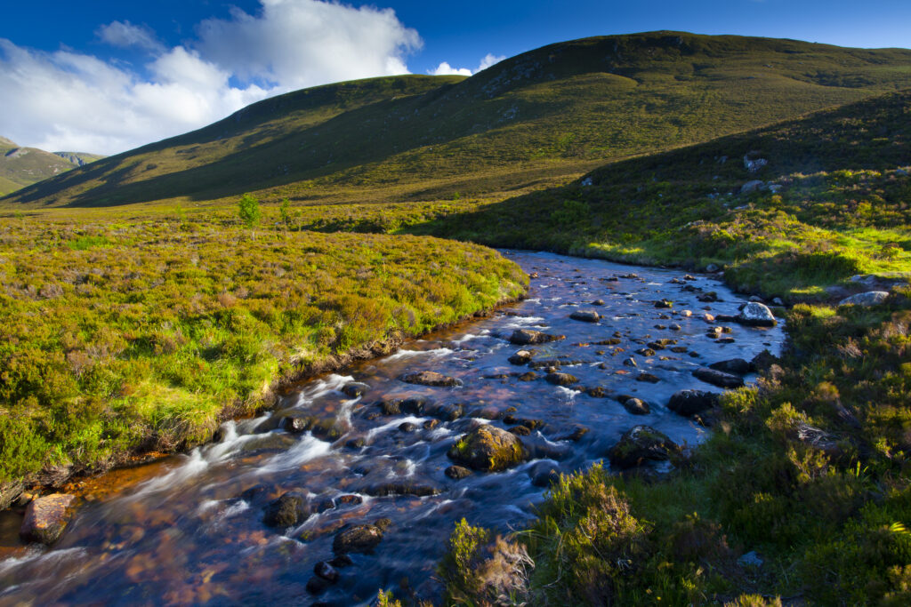 Scotland, Scottish Highlands, Cairngorms National Park. Mountain burn flowing through the wild landscape to be found near Strath Nethy.