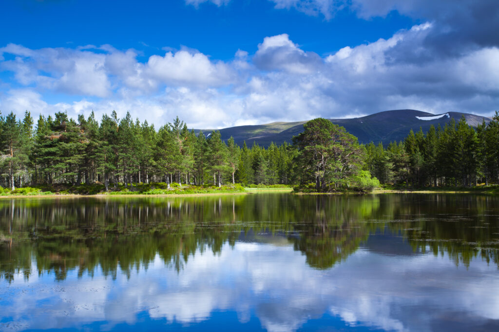 Scotland, Scottish Highlands, Cairngorms National Park. Native woodland of the Rothiemurchus Estate and Lochan nan Geadas.