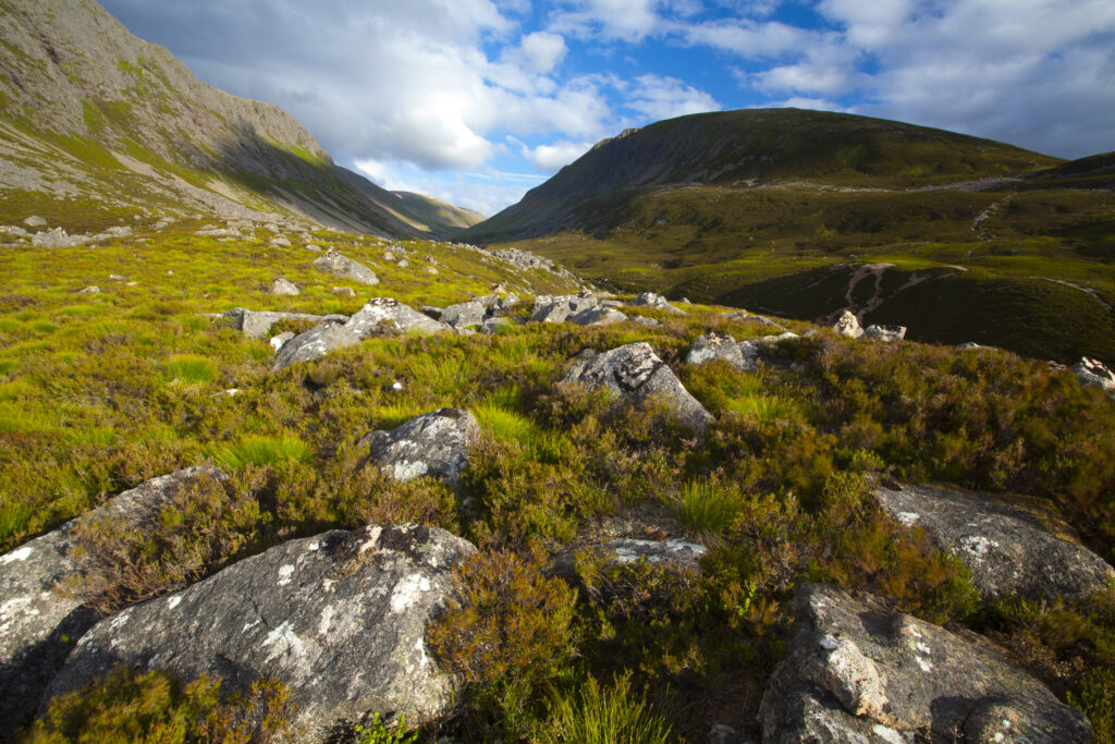 Scotland, Scottish Highlands, Cairngorms National Park. Looking towards the Lairig Ghru from the foothills of the Lurchers Crag.