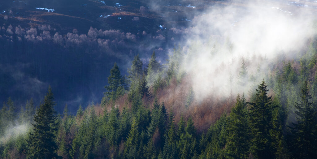 Scotland, Scottish Highlands, Killiecrankie. Mist rises from woodland near the River Garry, by the Pass of Killiecrankie.