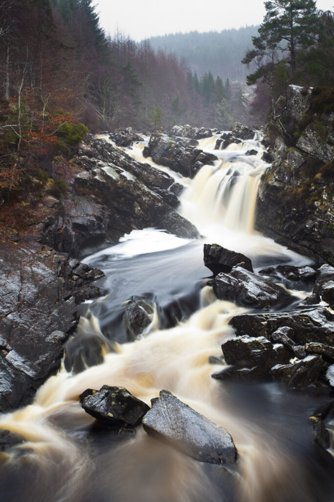 Scotland, Scottish Highlands, Rogie Waterfalls. A cascade of Peat coloured water at Rogie Falls, near Contin.