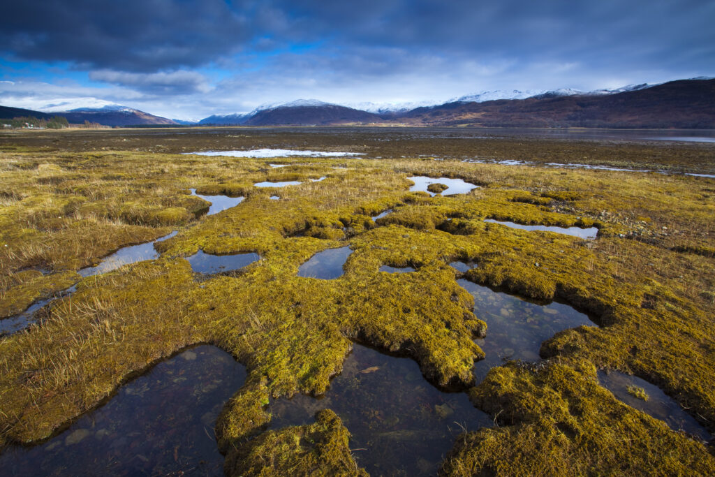 Scotland, Scottish Highlands, Glen Carron. Looking towards Glen Carron from the banks of Loch Carron, a sea loch shown here at low tide.