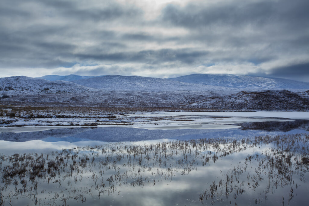 Scotland, Scottish Highlands, Loch a' Chuilinn. The subtle shades of a mid-winters day reflected upon the still face of Loch a' Chuilinn, near Lochluichart.