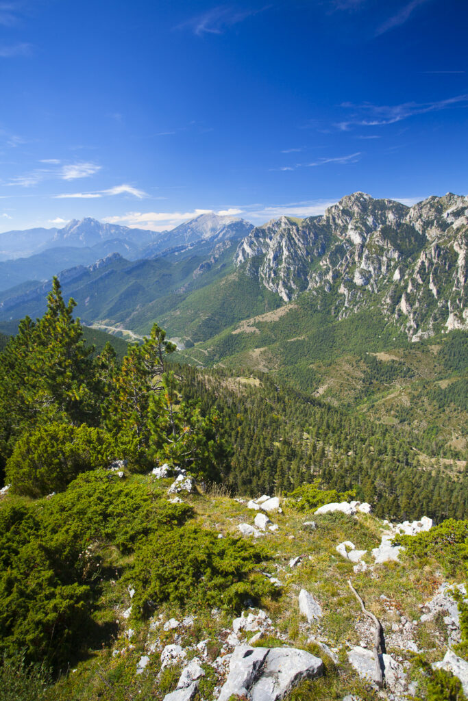 Spain, Catalonia, Pyrenees, Cadí-Moixeró Natural Park. The Pyrenees mountain range in the Cadí-Moixeró Natural Park.