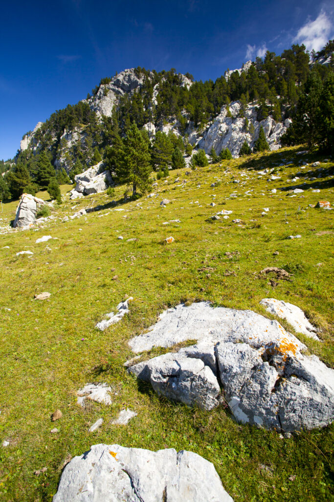 Spain, Catalonia, Pyrenees, Serra De Moixeró. Typical Pyrenees mountain scene of alpine meadow and mountains in the Serra De Moixeró.