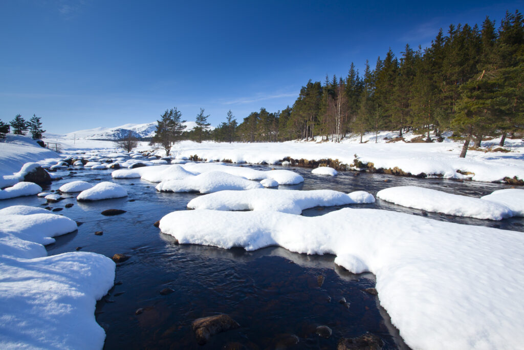 Scotland, Scottish Highlands, Cairngorms National Park. The snow covered River Muick running near a forest plantation in Glen Muick near Ballater.