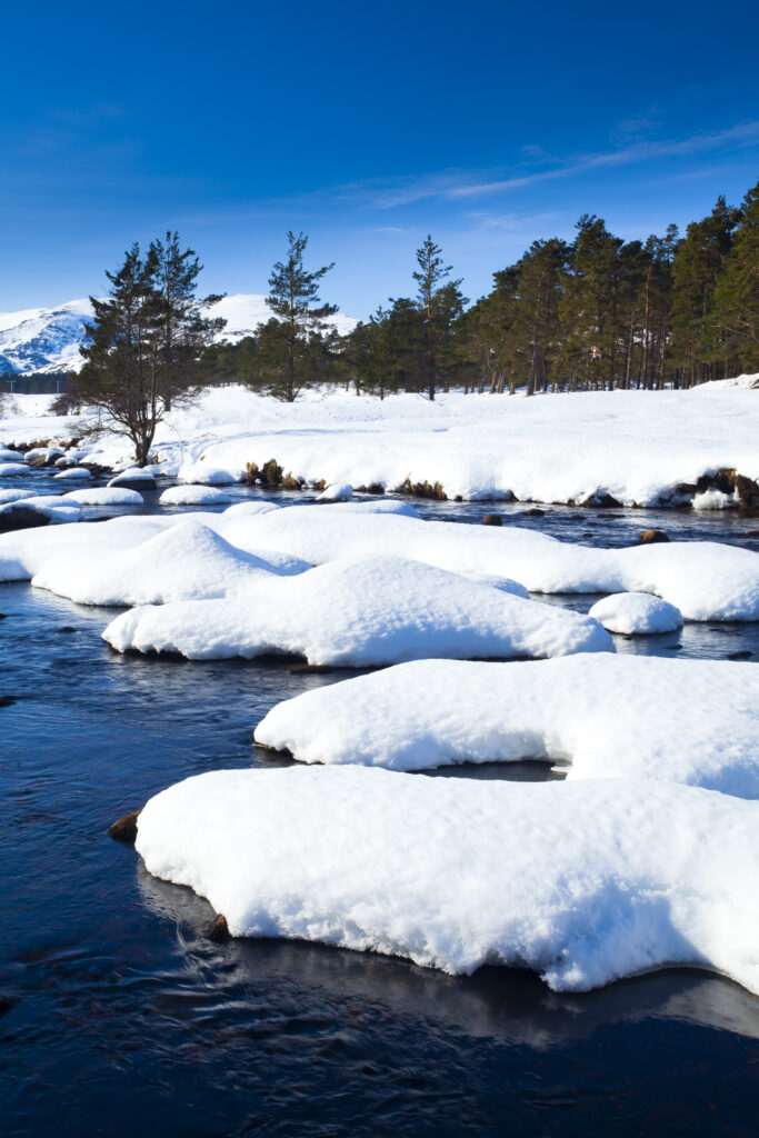 Scotland, Scottish Highlands, Cairngorms National Park. The snow covered River Muick running near a forest plantation in Glen Muick near Ballater.