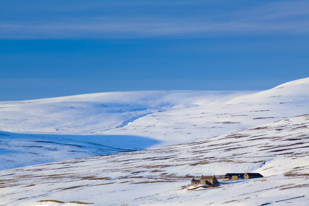 Scotland, Scottish Highlands, Cairngorms National Park. Farm situated under the rolling eastern hills of the Cairngorms National Park.