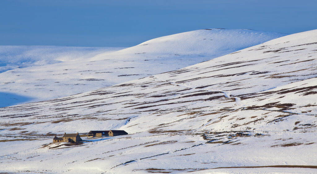 Scotland, Scottish Highlands, Cairngorms National Park. Farm situated under the rolling eastern hills of the Cairngorms National Park.