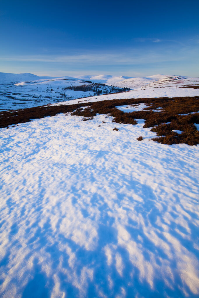 Scotland, Scottish Highlands, Cairngorms National Park. Late afternoon light illuminates the rolling eastern hills of the Cairngorms National Park.