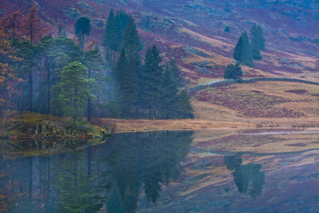 England, Cumbria, The Lake District. A misty dawn at Blea Tarn near Great Langdale.