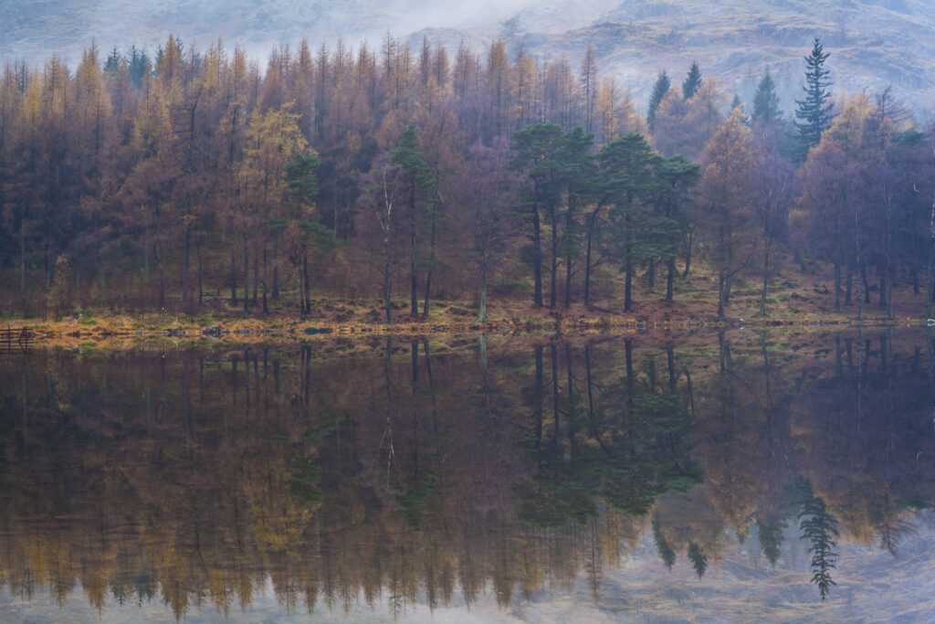 England, Cumbria, The Lake District. A misty dawn at Blea Tarn near Great Langdale.