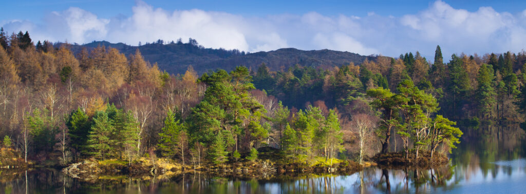 England, Cumbria, Lake District National Park. Mix of deciduous and evergreen trees surrounding the waters edge of Tarn Hows, a popular tourist destination once owned by Beatrix Potter and almost a totally artificial landmark.