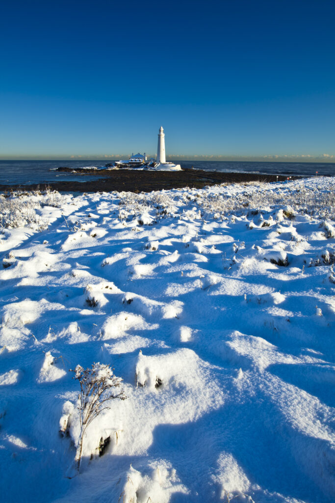 England, Tyne and Wear, St Mary's Island and Lighthouse. Snow covered Tussock grass on the North Tyneside coast near the city of Newcastle Upon Tyne.