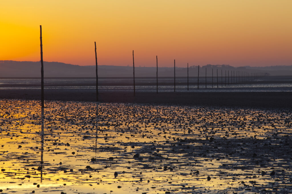 England, Northumberland, Northumberland Heritage Coast. The Pilgrim's Causeway linking the Holy Island of Lindisfarne off the Northumberland Coast with the mainland.