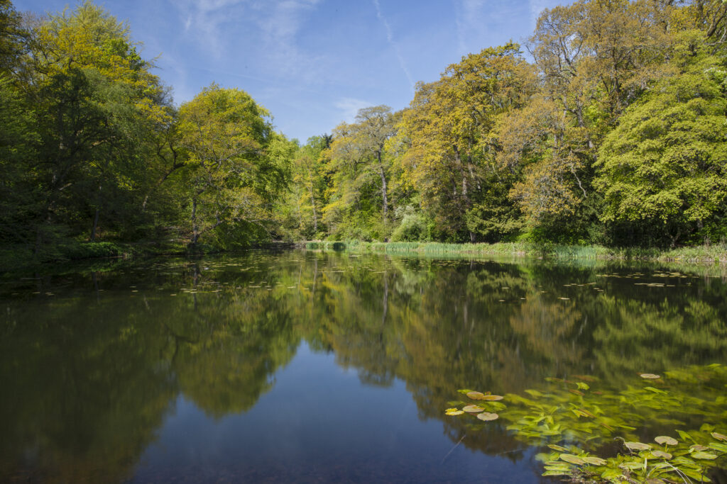 England. Northumberland, Wallington Hall. Pond / Lake in the gardens of Wallington Hall, a National Trust property located in the north of England.