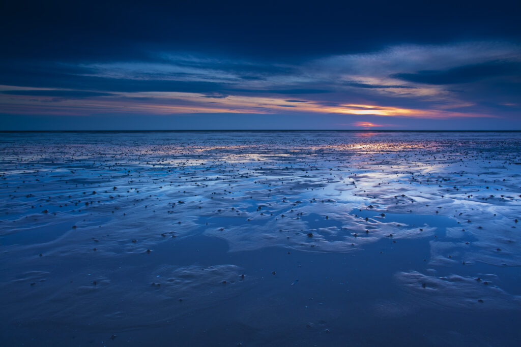 England, Northumberland, Goswell Sands. The blue hues of dawn reflected on the sandy expanse of the beach at Goswell Sands along the Northumberland Heritage Coast.