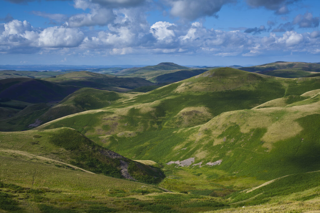 Scotland, Scottish Borders, English Border / Northumberland National Park. Looking towards Lamb Hill and the Northumberland Cheviot Hills in England from the Scottish Border.