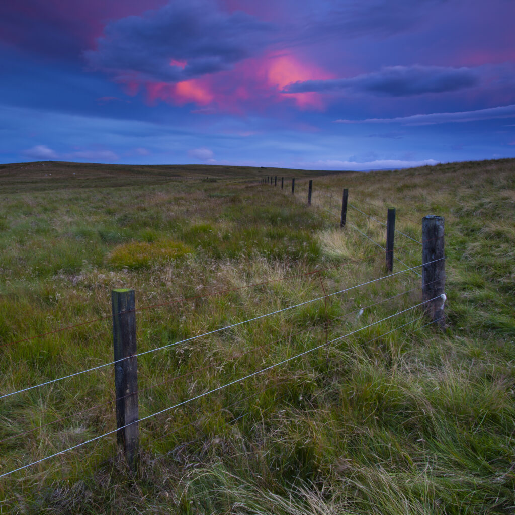 England, Northumberland, Northumberland National Park. Sunset behind the England / Scotland border fence on the Northumberland Cheviot Hills near Yearning Saddle Refuge Hut.