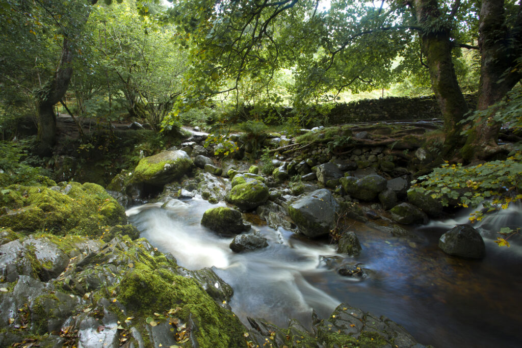 England, Cumbria, Lake District National Park. Aira Beck above Aira Force, a powerful body of water near the shores of Ullswater.