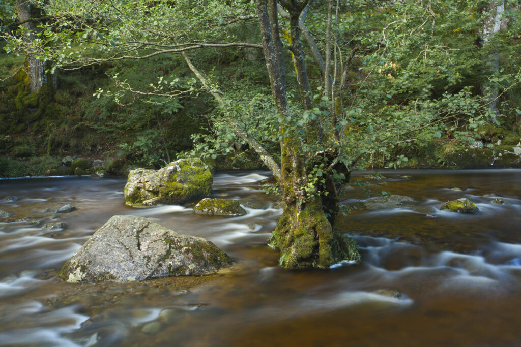 England, Cumbria, Lake District National Park. Aira Beck above Aira Force, a powerful body of water near the shores of Ullswater.