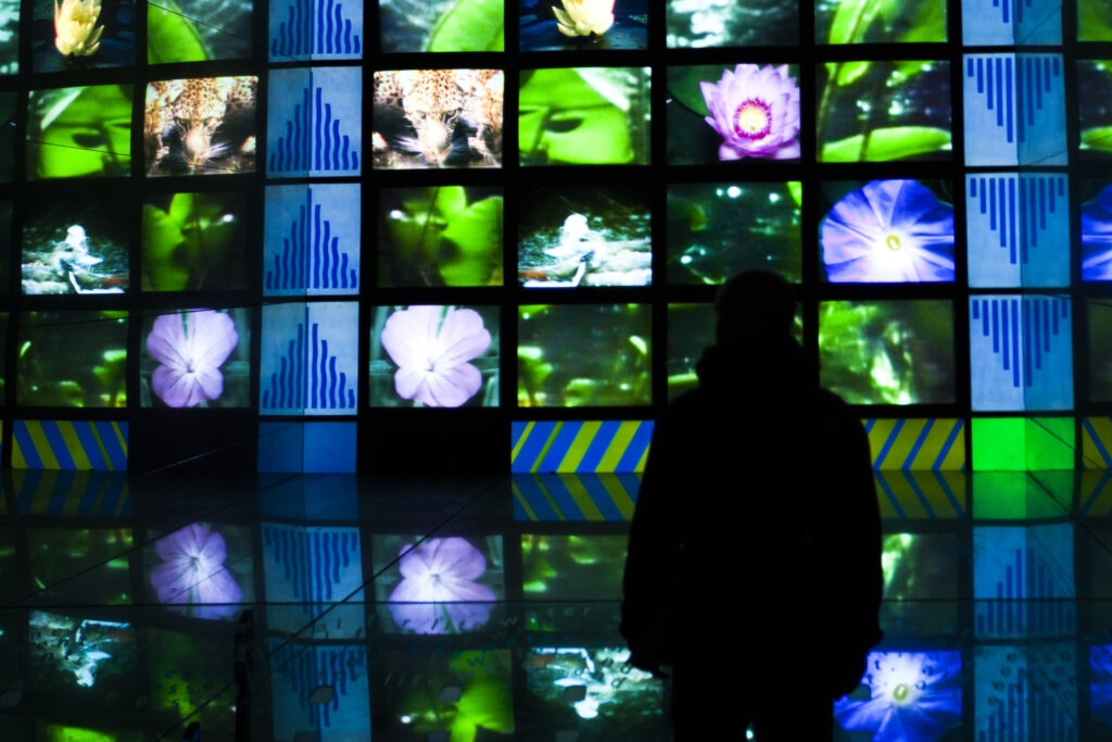 England, London, The Royal Borough of Kensington and Chelsea, Natural History Museum. Tourist watching a multi-media exhibition at the Natural History Museum, London.