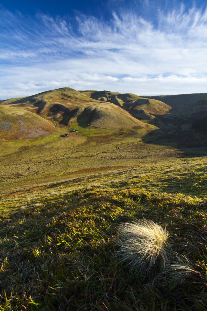 England, Northumberland, Northumberland National Park. Lamb Hill in the Cheviot Hills, part of the Northumberland National Park, viewed from Dere Street in the Scottish Borders