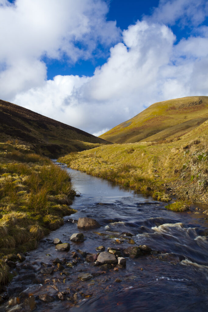 England, Northumberland, Northumberland National Park. Buckhams's Walls Burn, a mountain stream running from the Cheviot Hills to the River Coquet in the valley of Coquetdale.