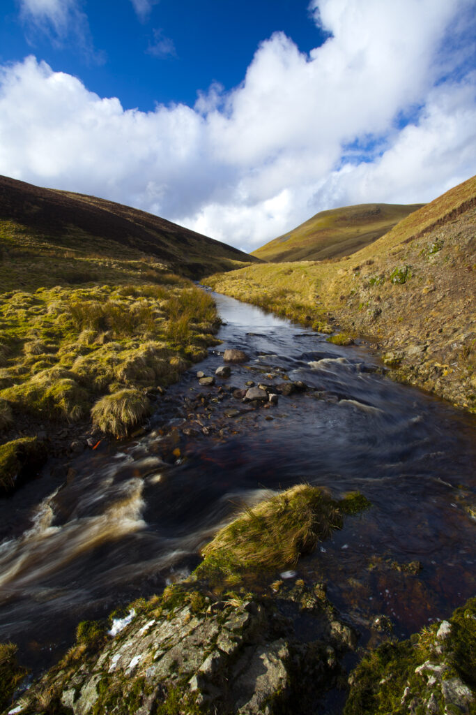 England, Northumberland, Northumberland National Park. Buckhams's Walls Burn, a mountain stream running from the Cheviot Hills to the River Coquet in the valley of Coquetdale.