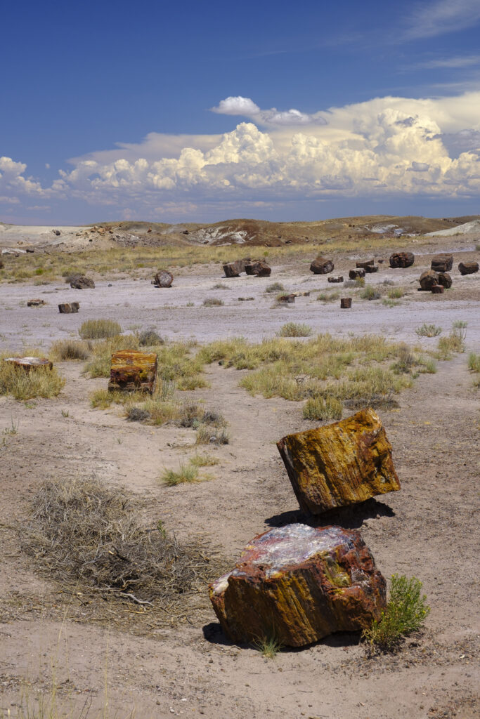 United States of America, Ariziona, Petrified Forest National Park. The surreal, colourful landscape of the Painted Desert in the Petrified Forest National Park.