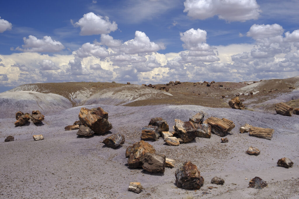 United States of America, Ariziona, Petrified Forest National Park. The surreal, colourful landscape of the Painted Desert in the Petrified Forest National Park.