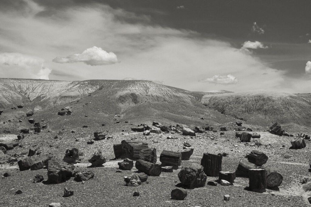United States of America, Ariziona, Petrified Forest National Park. The surreal, colourful landscape of the Painted Desert in the Petrified Forest National Park.